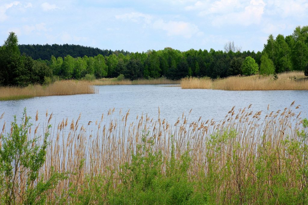 Nad zalew do Glinna!