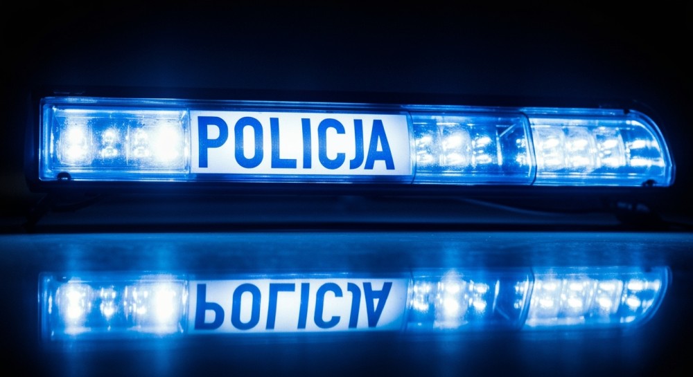 Policja w Poznaniu rozbija gang złodziei samochodów – odzyskano auta warte 540 tysięcy złotych!